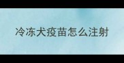冷冻犬疫苗怎么注射