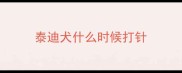 泰迪犬什么时候打针