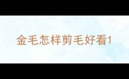 金毛怎样剪毛好看