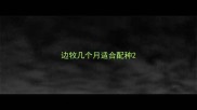 边牧几个月适合配种