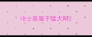 哈士奇属于猛犬吗