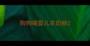狗狗喝婴儿羊奶粉