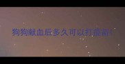 狗狗献血后多久可以打疫苗
