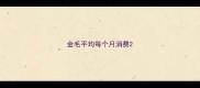 金毛平均每个月消费