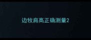边牧肩高正确测量