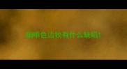 咖啡色边牧有什么缺陷