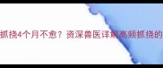 边境牧羊犬幼犬皮肤瘙痒抓挠4个月不愈资深兽医详解高频抓挠的5大诱因与系统解决方案