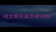 哈士奇在家怎样训练
