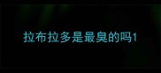 拉布拉多是最臭的吗