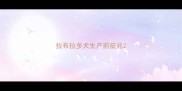 拉布拉多犬生产前征兆
