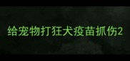 给宠物打狂犬疫苗抓伤