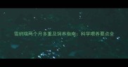 雪纳瑞两个月多重及饲养指南科学喂养要点全