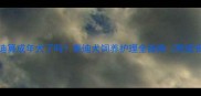 七个月泰迪算成年犬了吗泰迪犬饲养护理全指南附成长时间表