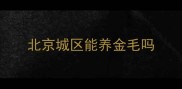 北京城区能养金毛吗