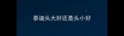 泰迪头大好还是头小好