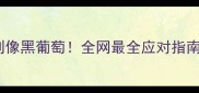 猫咪瞳孔放大到像黑葡萄全网最全应对指南附急救视频