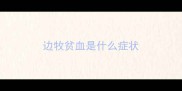 边牧贫血是什么症状
