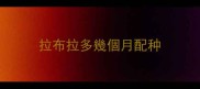 拉布拉多幾個月配种