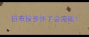 拉布拉多怀了会流血