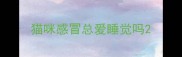 猫咪感冒总爱睡觉吗