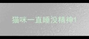 猫咪一直睡没精神