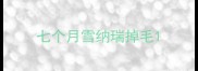 七个月雪纳瑞掉毛
