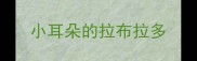 小耳朵的拉布拉多