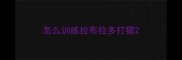 怎么训练拉布拉多打猎
