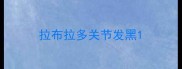 拉布拉多关节发黑