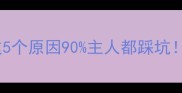 狗狗甩头频繁这5个原因90主人都踩坑附科学护理指南