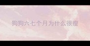 狗狗六七个月为什么很瘦