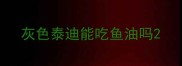 灰色泰迪能吃鱼油吗