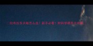 拉布拉多犬粮怎么选新手必看附科学喂养全攻略