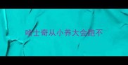 哈士奇从小养大会跑不