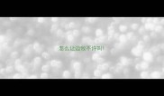 怎么让边牧不许叫