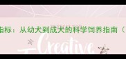 拉布拉多全周期发育指标从幼犬到成犬的科学饲养指南附成长阶段对照表