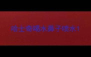 哈士奇喝水鼻子喷水