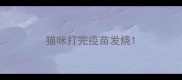 猫咪打完疫苗发烧