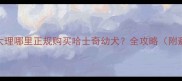 云南昆明大理哪里正规购买哈士奇幼犬全攻略附避坑指南