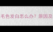 拉布拉多眼皮毛色发白怎么办原因及专业护理指南