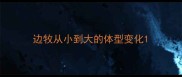 边牧从小到大的体型变化