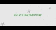 金毛幼犬疫苗接种时间表