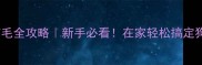拉布拉多剪毛全攻略新手必看在家轻松搞定狗狗毛发护理
