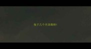 兔子几个月消毒啊