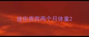 迷你贵宾两个月体重