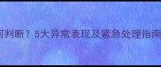 母犬胎死腹中如何判断5大异常表现及紧急处理指南附视频教程