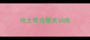 哈士奇当警犬训练