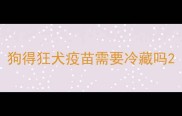 狗得狂犬疫苗需要冷藏吗