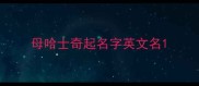 母哈士奇起名字英文名
