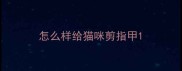 怎么样给猫咪剪指甲